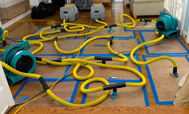 Professional Crawl Space Water Removal technician working in Mystic, CT